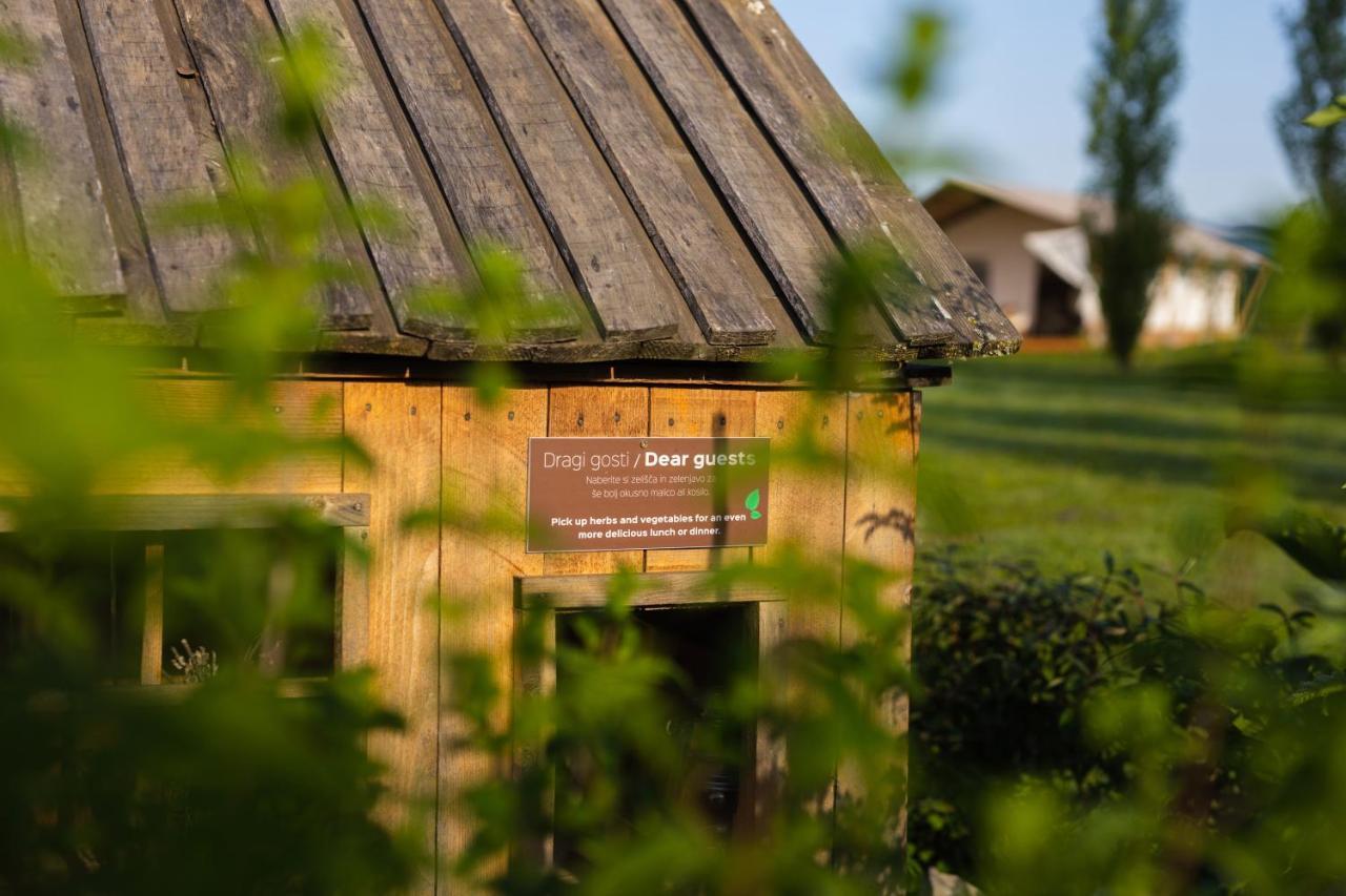 Glamping Kolpa Resort Gradac Экстерьер фото